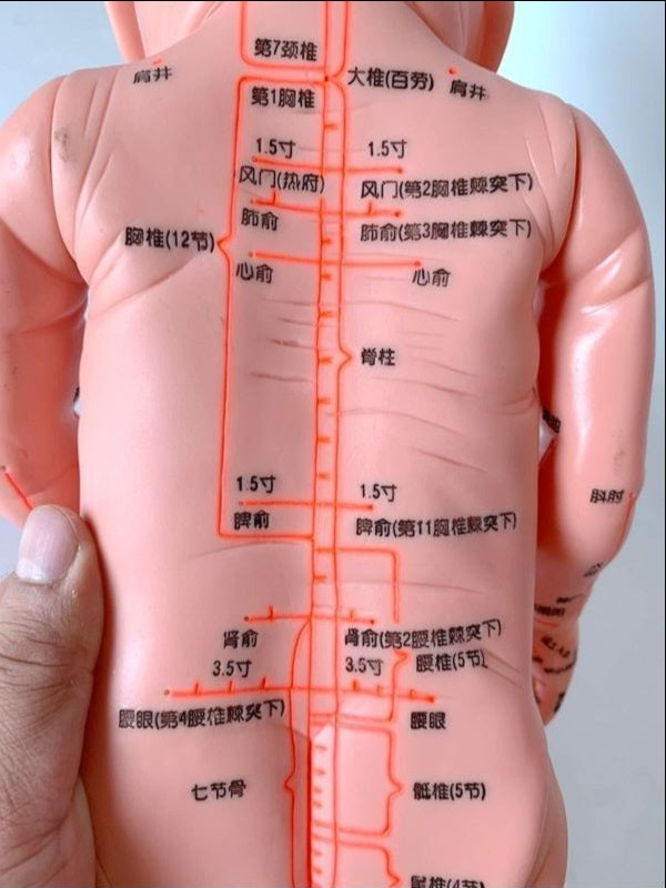 小儿推拿模型培训娃娃带穴位仿真按摩婴儿中医人体经络教学用全身