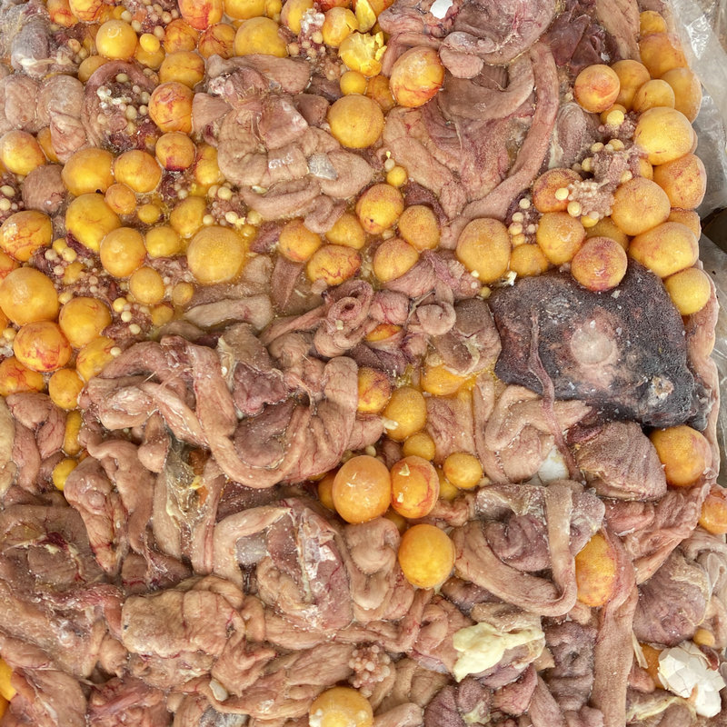 鸡蛋黄批发加工厂冷冻蛋黄鸡卵特养饲料 肉食性动物饲料