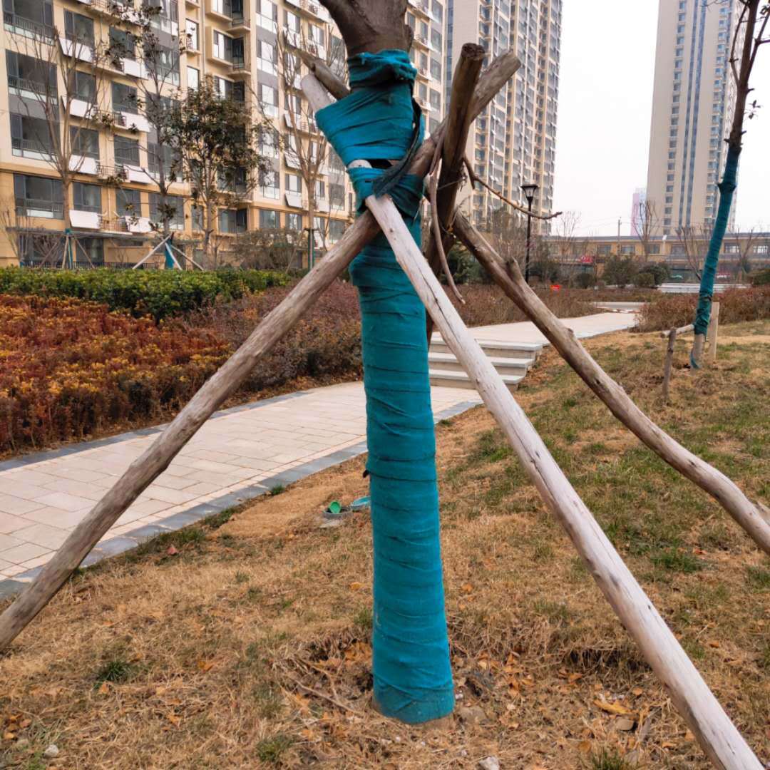 大树护树带裹树布 加厚加膜耐老化抗静电树干保温保湿无纺布-报价
