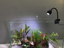 新款水草虾小型鱼缸LED夹灯 台湾UP 雅柏圆型水族箱照明小吊灯usb