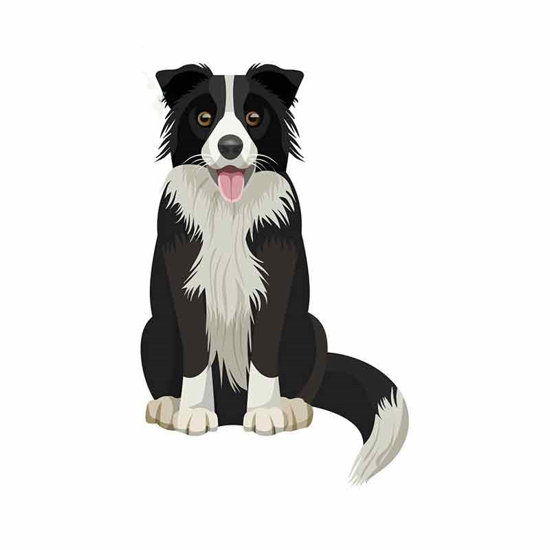 aliauto可爱边境牧羊犬汽车贴纸乙烯基贴纸宠物狗笔记本卡通车贴