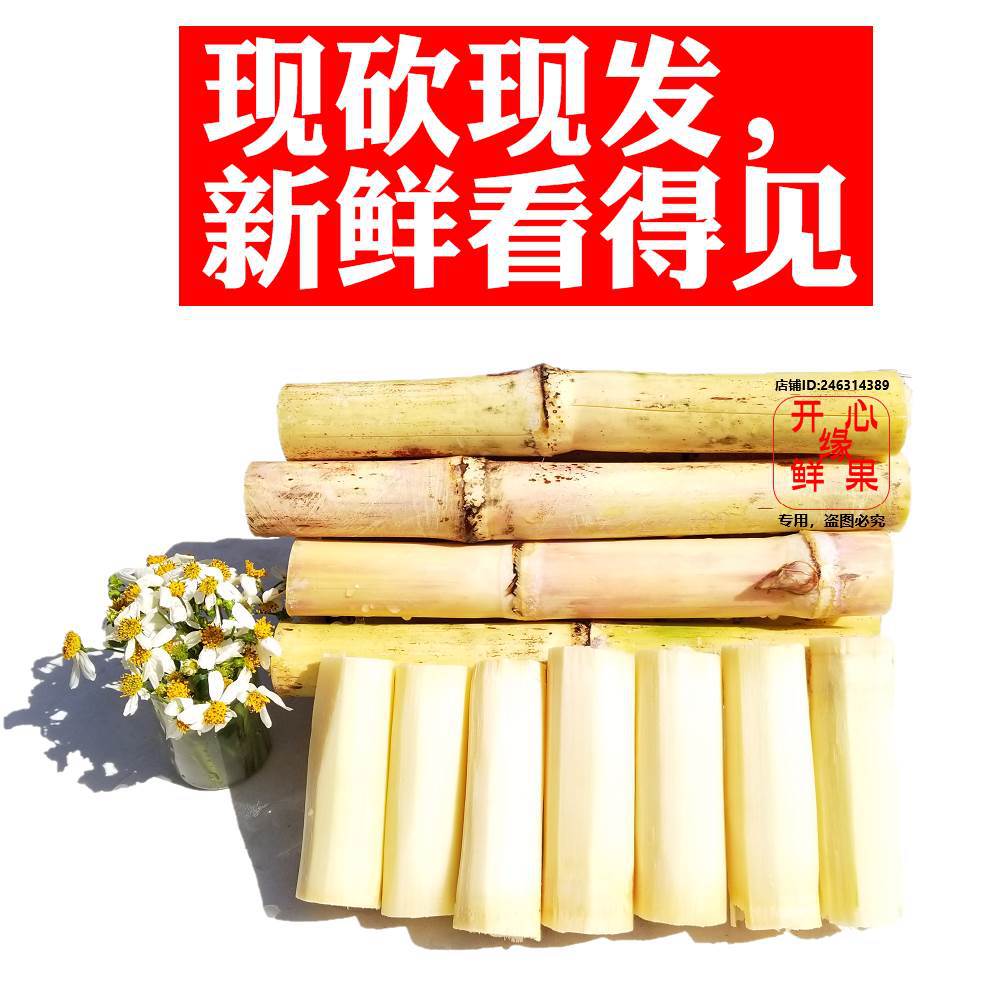 广西木格白玉蔗白皮甘蔗水果 新鲜包邮整箱甘玉庶特价甜杆非青皮