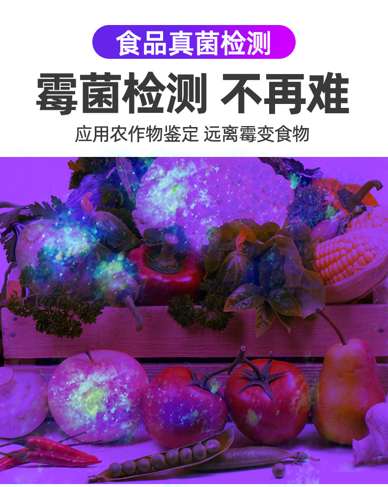 黄曲霉素霉菌检测笔 紫外线紫光灯手电筒365nm 荧光剂鉴定验钞灯