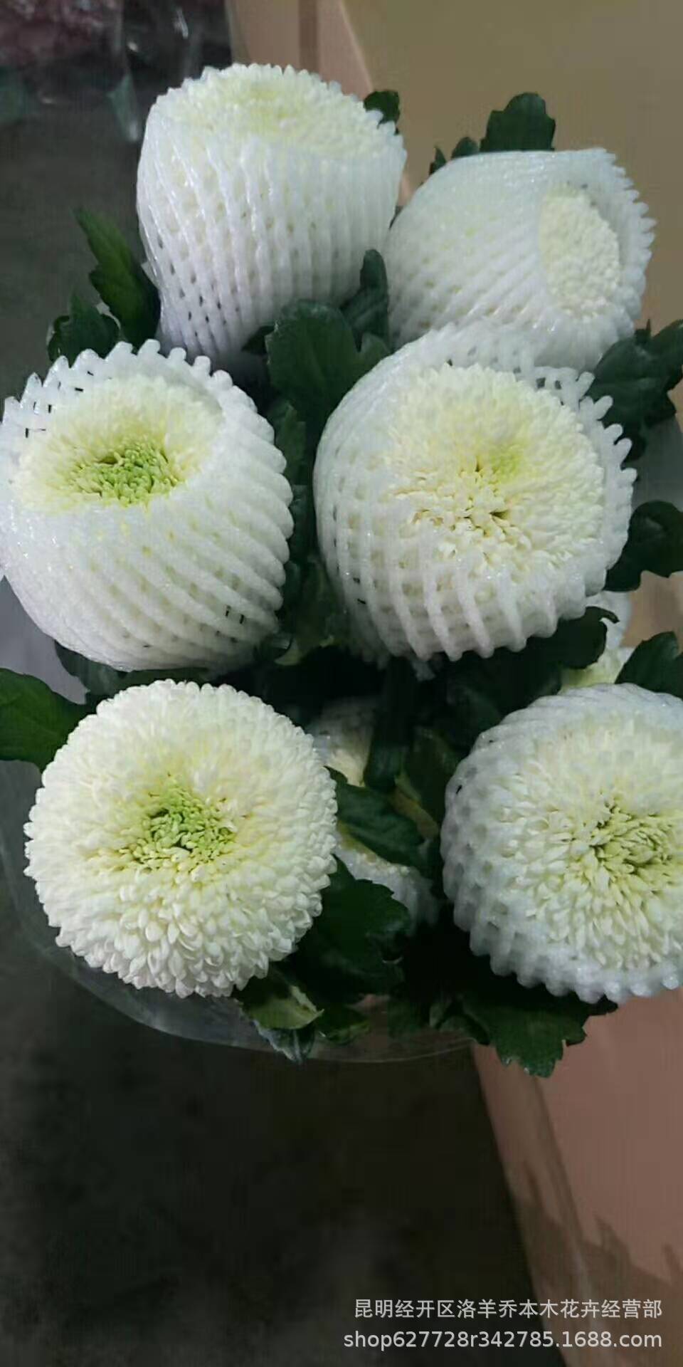 乒乓菊花云南昆明乒乓菊鲜切花鲜花基地批发直发直批花店婚庆装饰