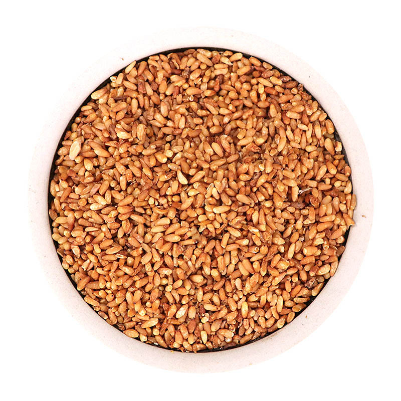 柏子仁中药材批发籽子药材柏子仁大货量大从优农产品加工柏子仁