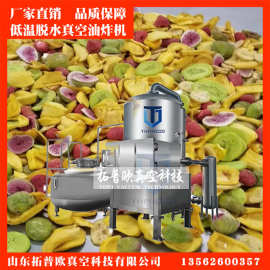 新款小型真空低温油炸机 果蔬脆片深加工设备 食品真空油炸机厂家