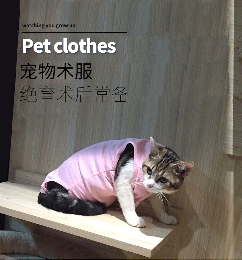 猫咪手术服绝育断奶服防舔透气术后衣厂家现货
