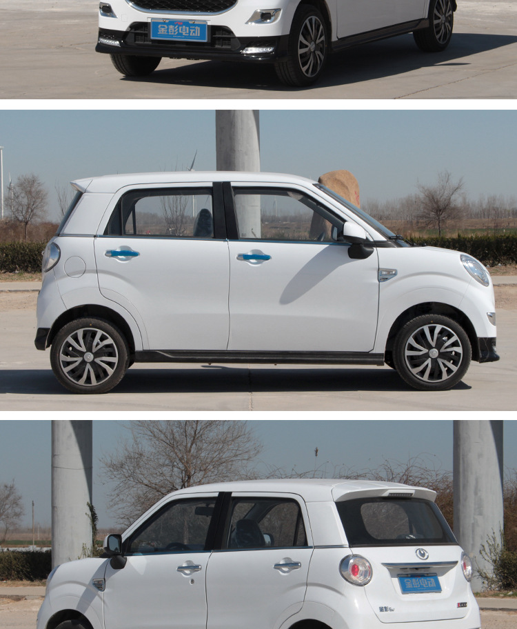 新能源成人四轮车金彭狮子座电动汽车时尚家用代步轿车 油电两用