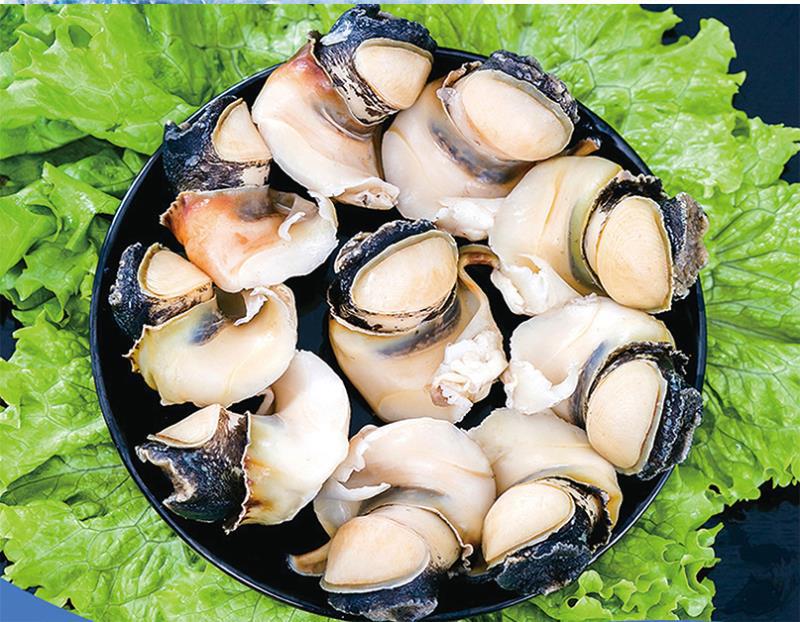 一手货源西非进口不添加防腐剂新鲜熟冻海螺肉刺螺肉一件代发