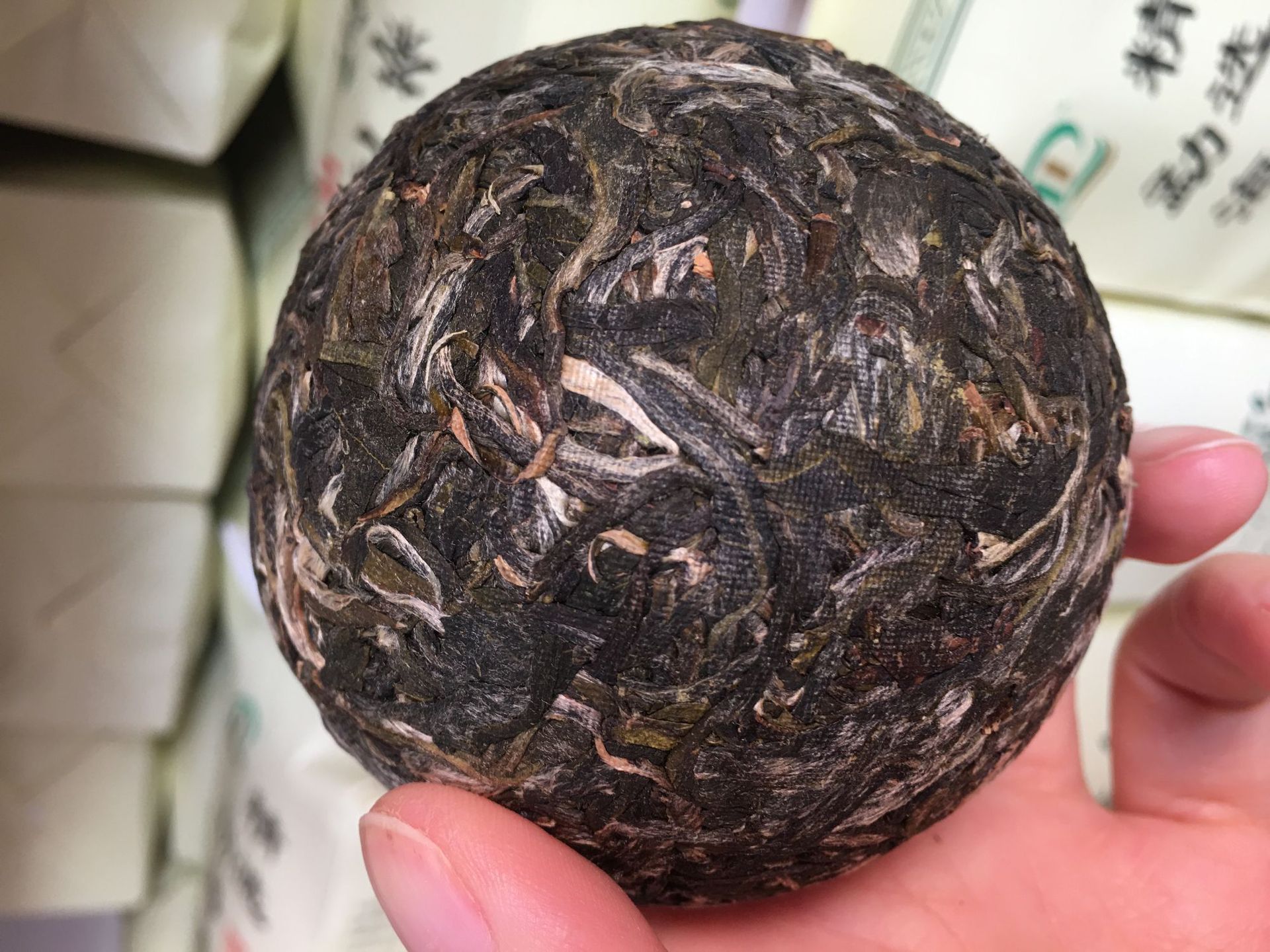 云南普洱茶 2012年普乐滋品牌勐海沱茶 生茶沱茶 100g 5个起批