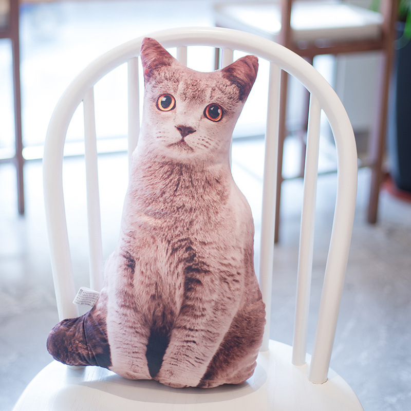 肖战同款坚果猫咪公仔玩偶毛绒玩具3d仿真猫咪印花抱枕靠垫批发