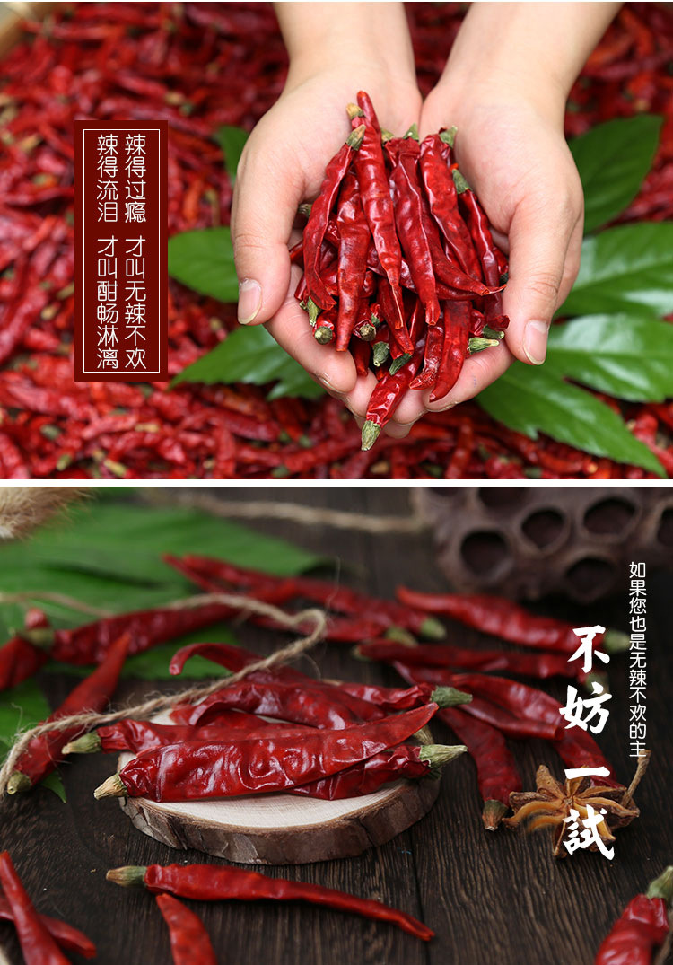 印度魔鬼椒s17辣椒王 干辣椒超辣 印度椒 魔鬼辣椒一斤500g批发