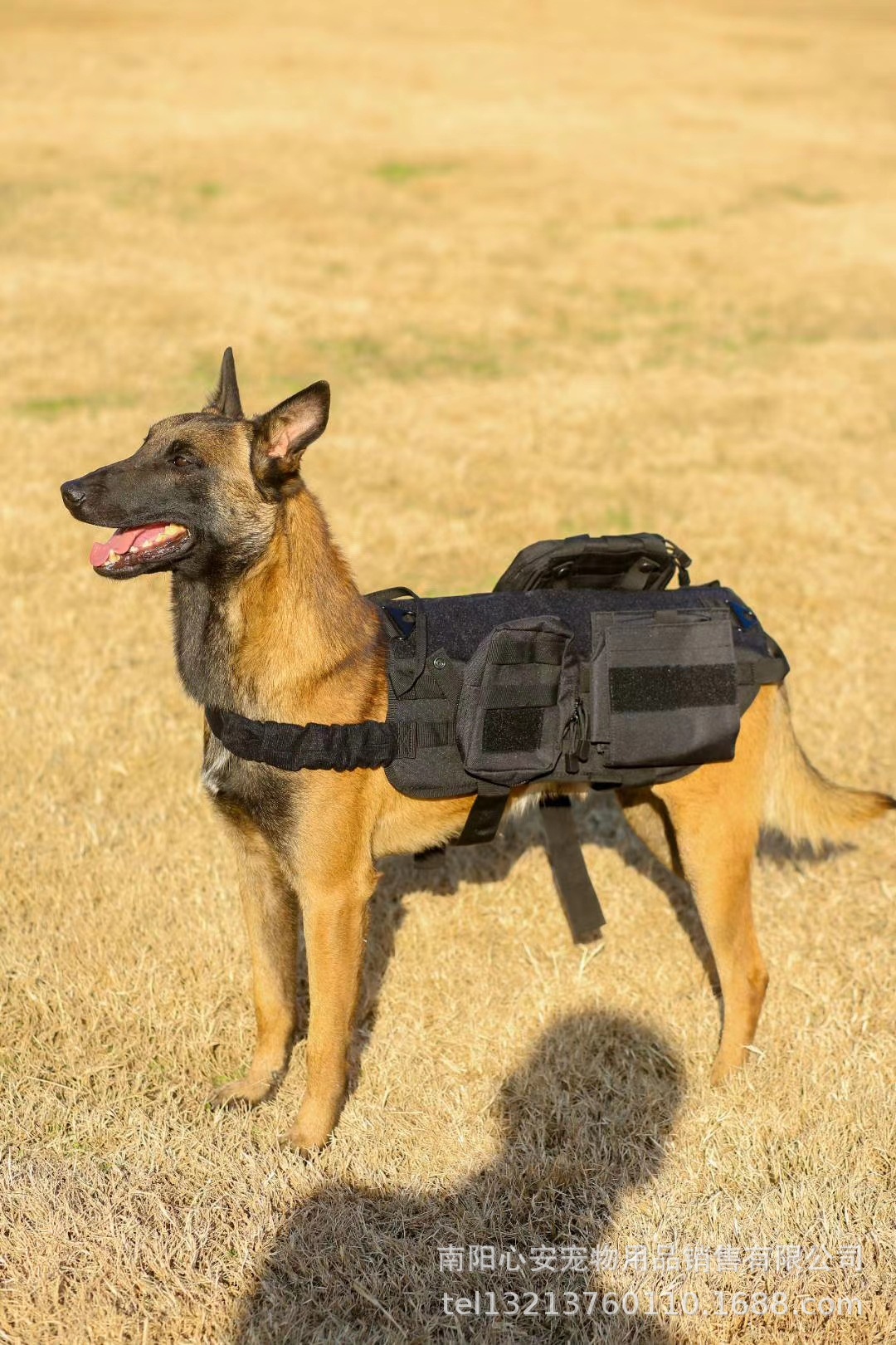 工作犬战术胸背 战斗版背心 战术马甲 执勤防护服 犬衣带三装纳包