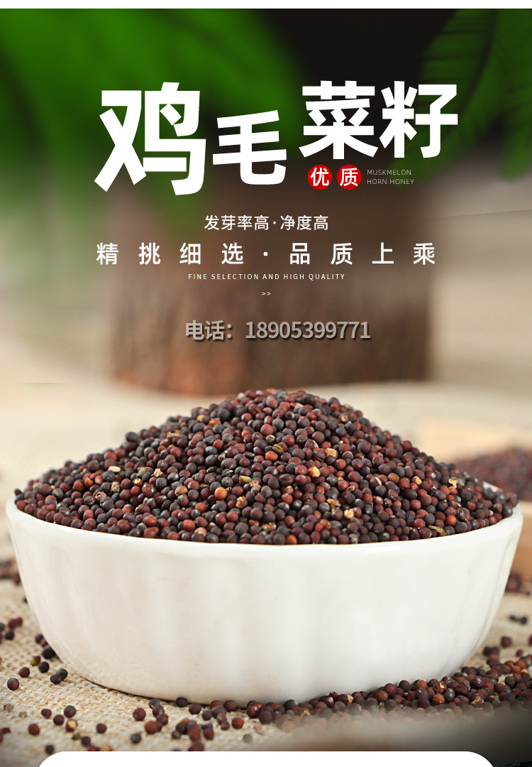 批发鸡毛菜种子芽苗菜种植阳台盆栽种菜无土栽培水培特色蔬菜种子