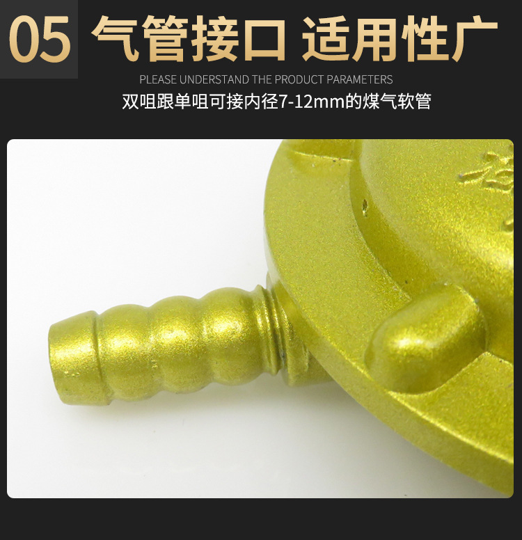 加厚液化气减压阀家用安全防漏双嘴煤气罐燃气灶配件热水器低压门