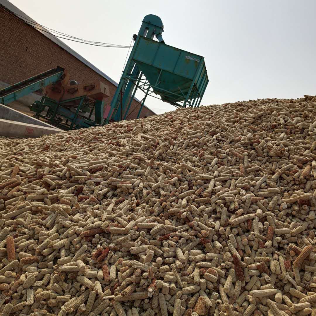 大量批发宠物垫料玉米芯 工艺品香包填充用玉米芯 抛光玉米芯颗粒