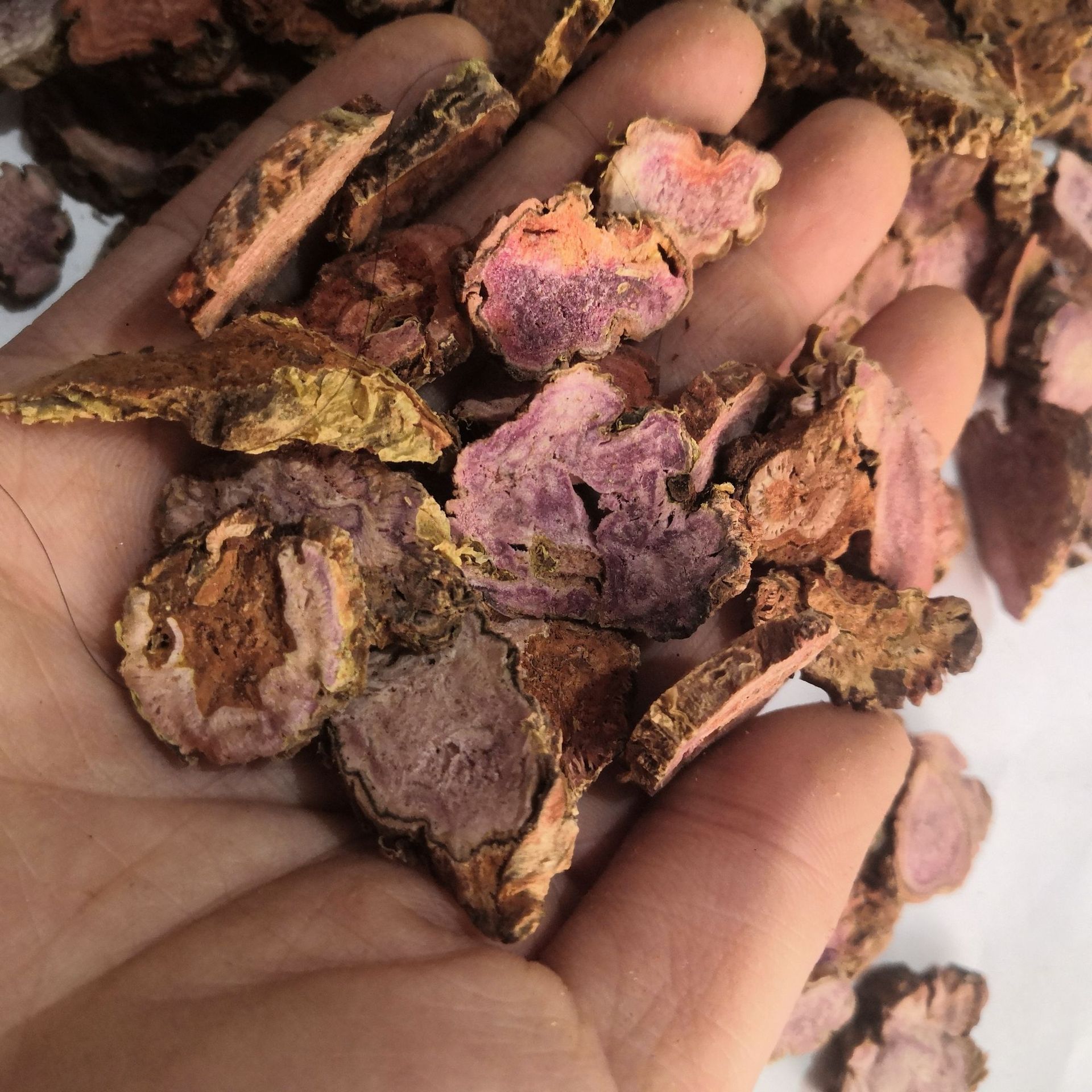 中药材红景天西藏红景天大花红景天蔷薇红景天扫罗玛布尔