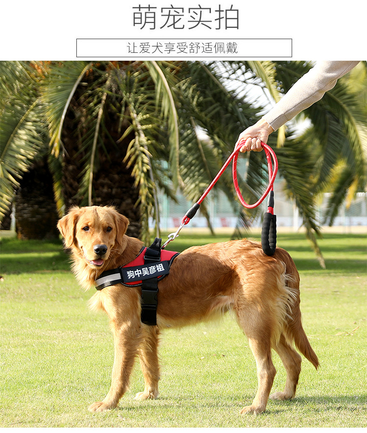 Factory Direct Sales K9 Chest Strap Medium Large Dog Explosion-Proof Dog Leash Dog Hand Holding Rope Dog Chain Pet Supplies