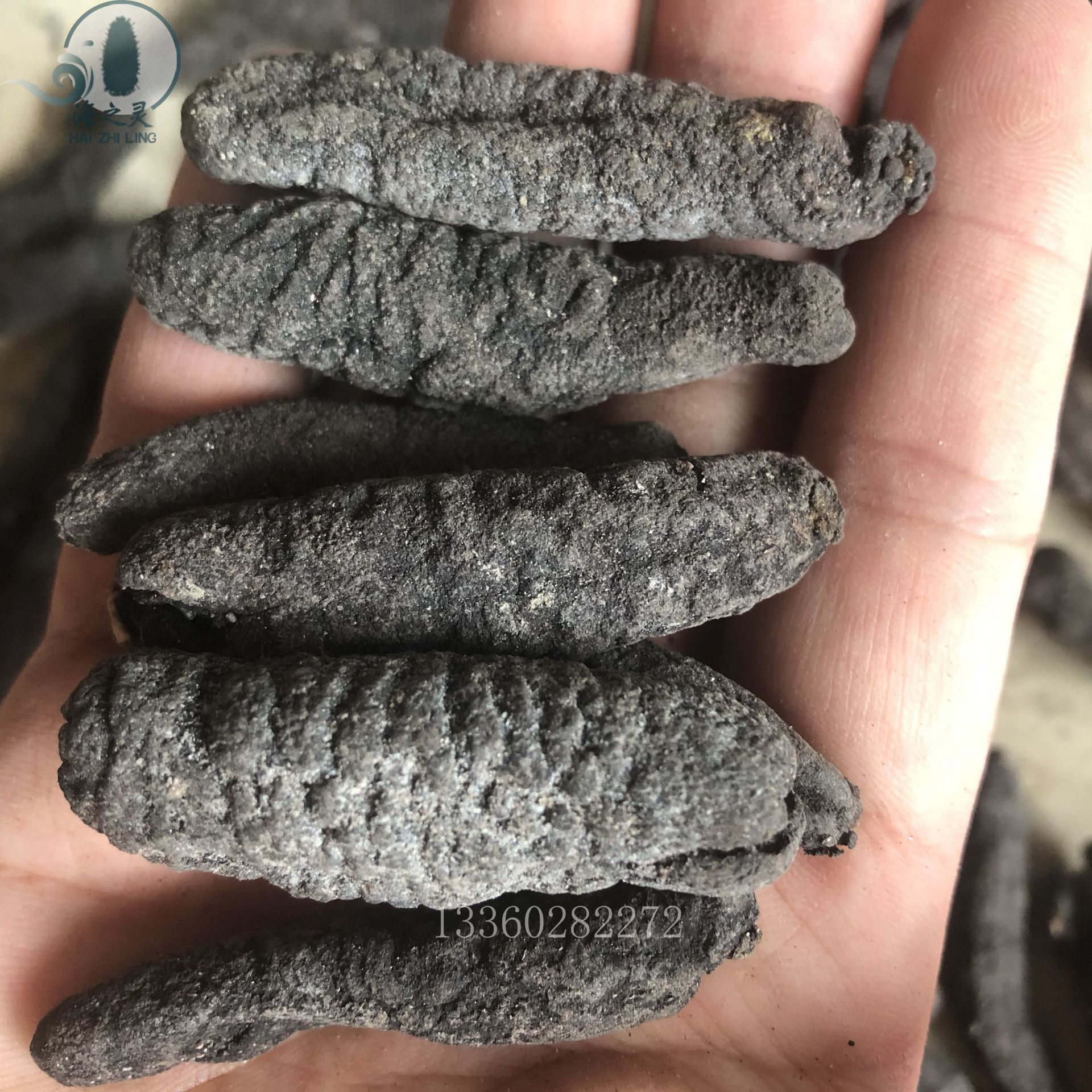 乌参小岛乌参乌条参黑参野生海参干货批发 100头源头货源量大价优