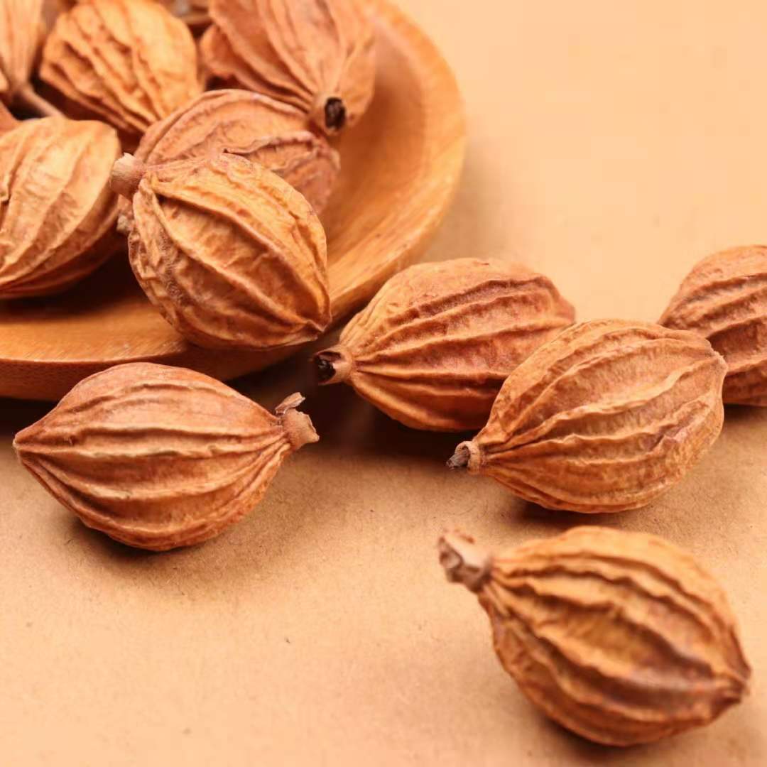 香砂开口香砂增香调味品香料火锅底料贵州四川产地零售批发