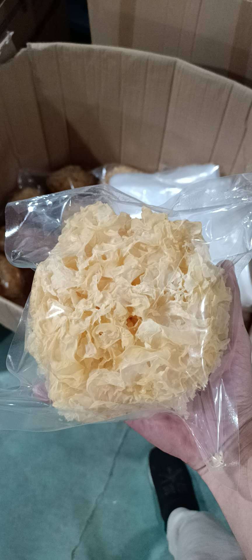 古田县润泽食用菌干货银耳白木耳学耳新鲜银银耳莲子羹耳非丑耳