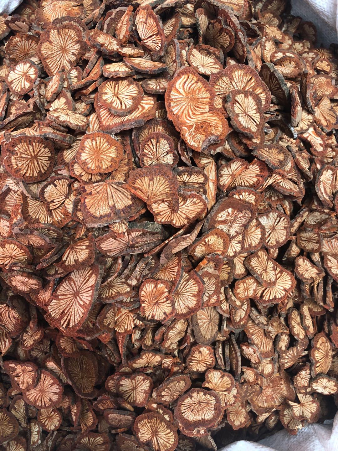 供应红藤 大血藤 各种中药材批发 代嚰粉