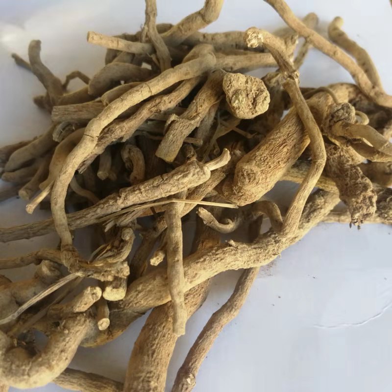 木香 青藤香 独行根 蛇参根 铁扁担  量大从优