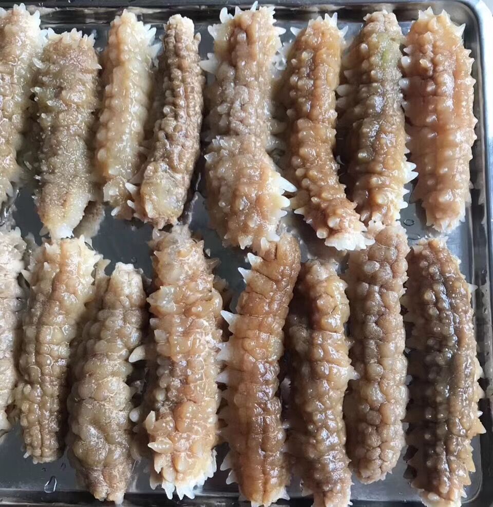 黄肉参 约150头淡干黄玉海参白刺参刺黄黄金参水产干货一德路批发