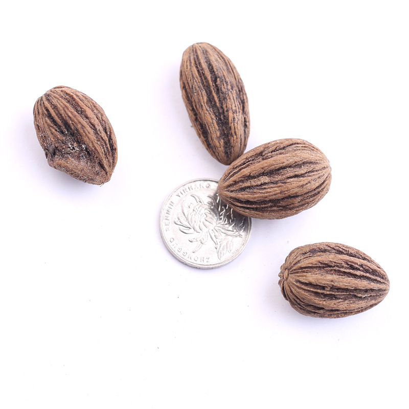 新品特价当年林木种子珙桐种子水梨子种子鸽子树鸽子花珍贵树种子