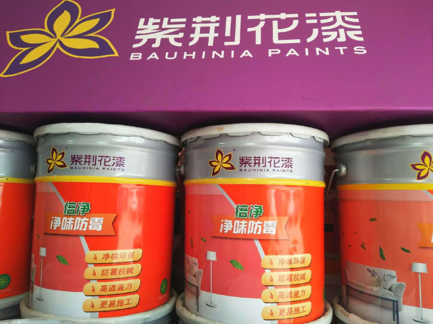 紫荆花漆水性乳胶漆室内家用倍净防霉白色墙面漆涂料墙漆 室内漆