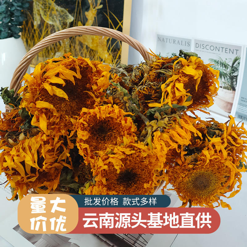 重瓣向日葵干花泰迪太阳花自然风干真花干花花束批发拍照道具装饰