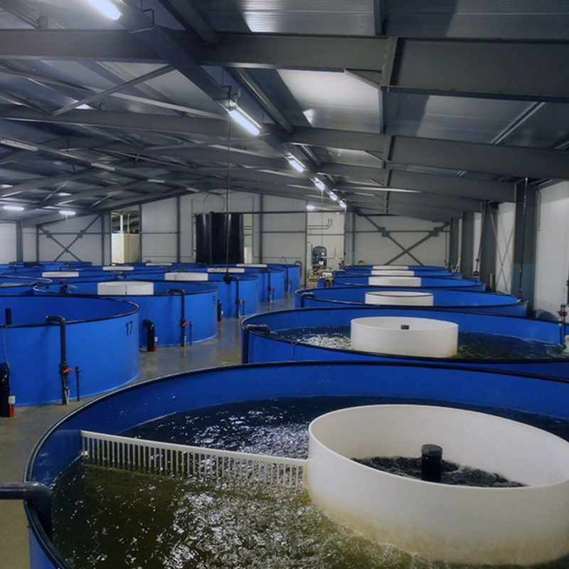 宝石鲈斑循环水养殖系统淡水处理过滤工厂化水产循环水养鱼设备