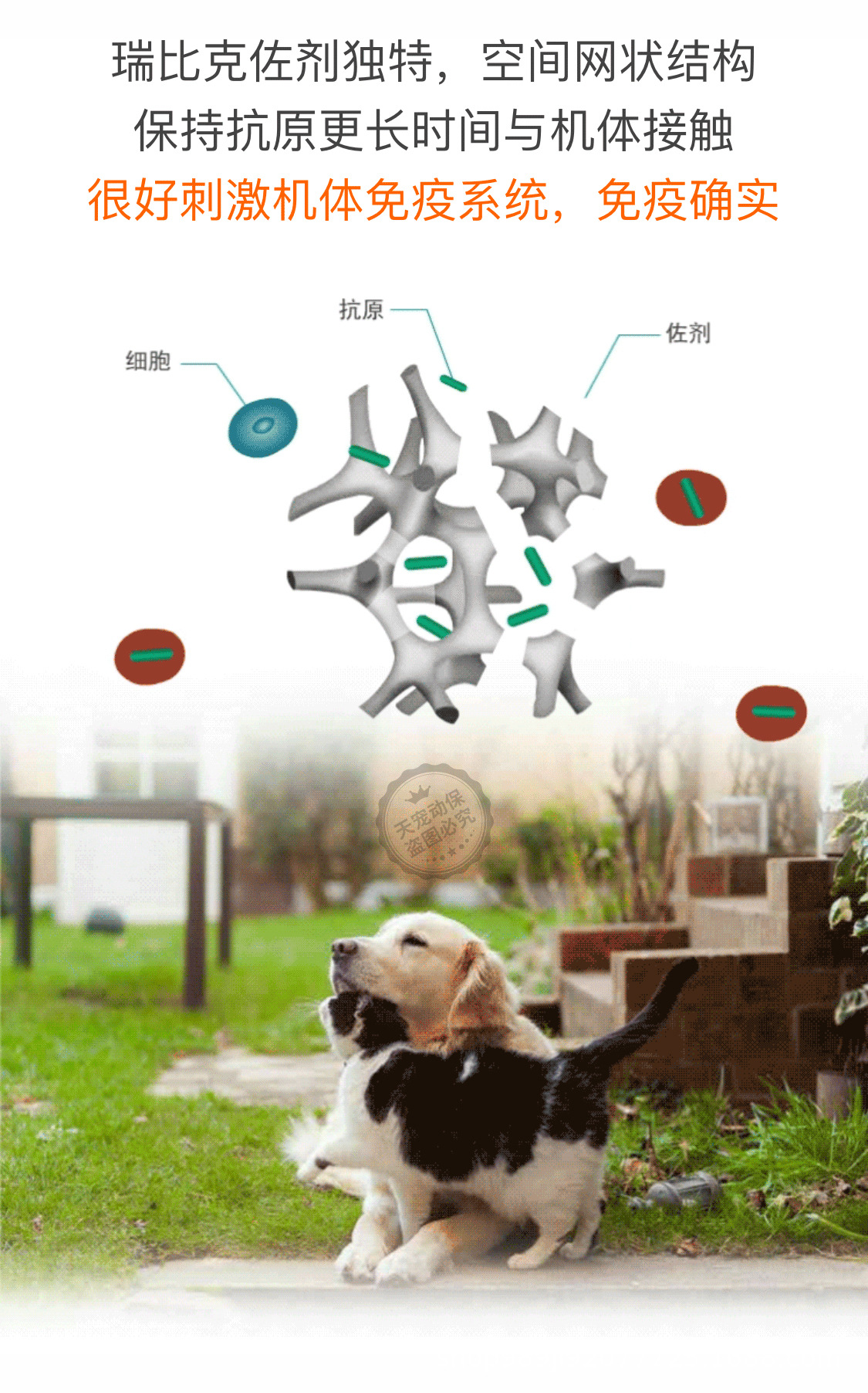 美国硕腾 瑞比克 狂犬灭活疫苗宠物犬猫通用辉瑞单联礼来正品行货