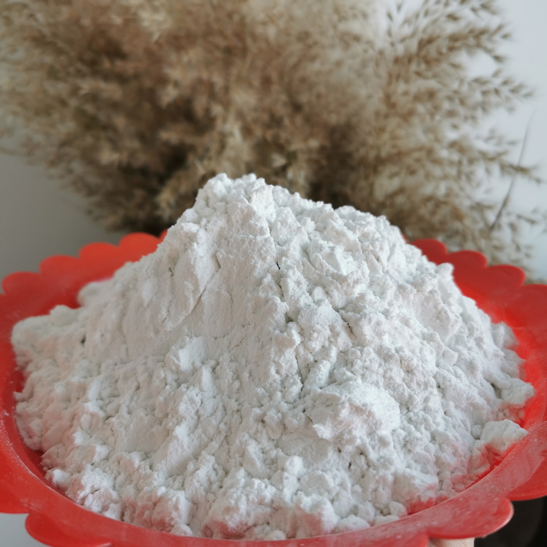 供应白色硅藻土 水处理用硅藻土细粉200目 工业级煅烧硅藻土-阿里巴巴