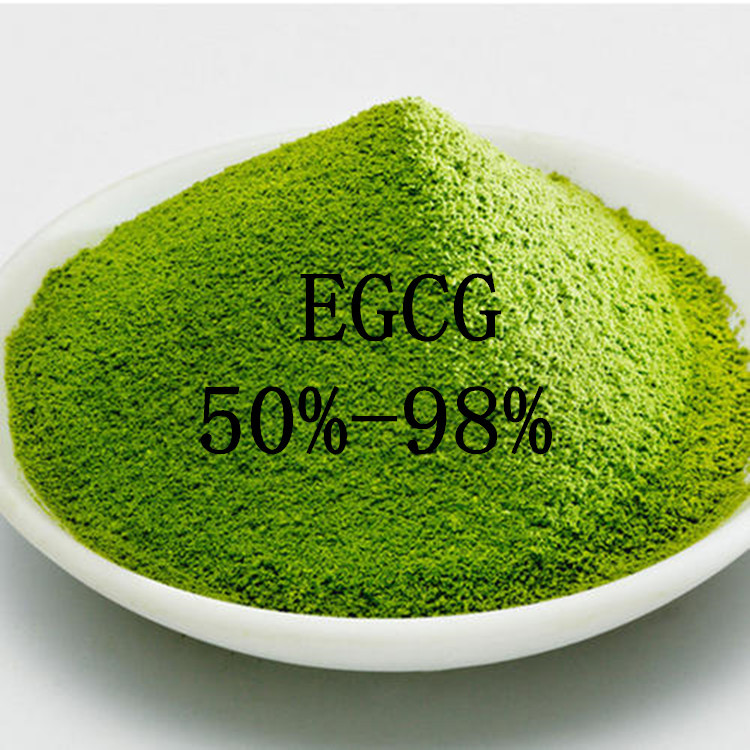 egcg 绿茶提取物 表没食子儿茶素没食子酸酯 50~98% 98%egcg 厂家