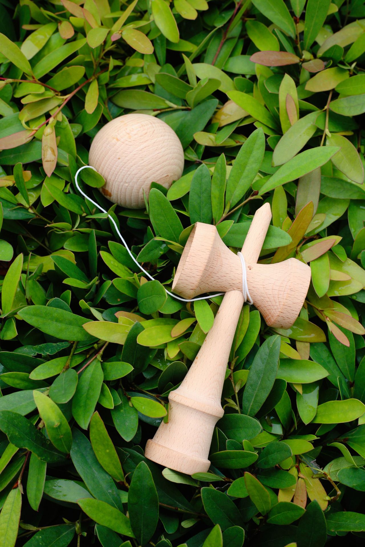 原木色技巧球木质剑球剑玉kendama肯大妈