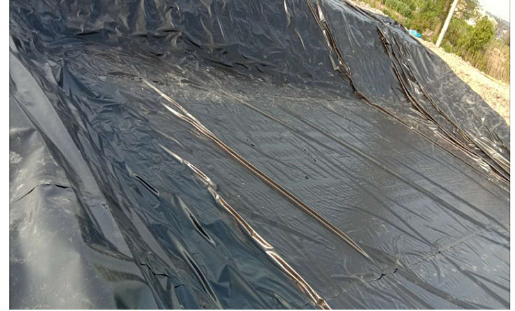 土工膜阻根板屋顶绿化防穿刺防渗膜楼顶花园种菜隔根鱼虾水产养殖