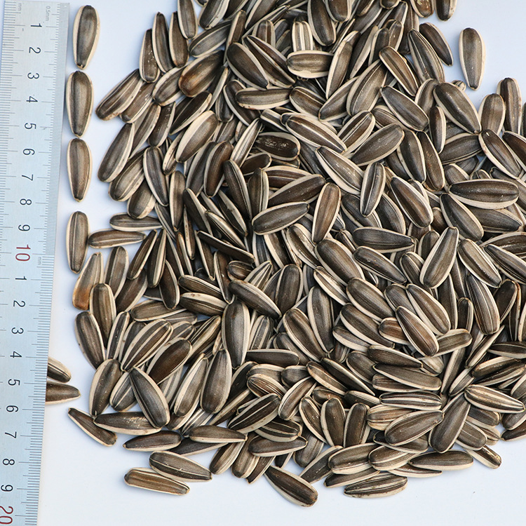 363生葵花籽200-210粒批发大货向日葵毛嗑 内蒙古葵花子大瓜子-阿里巴