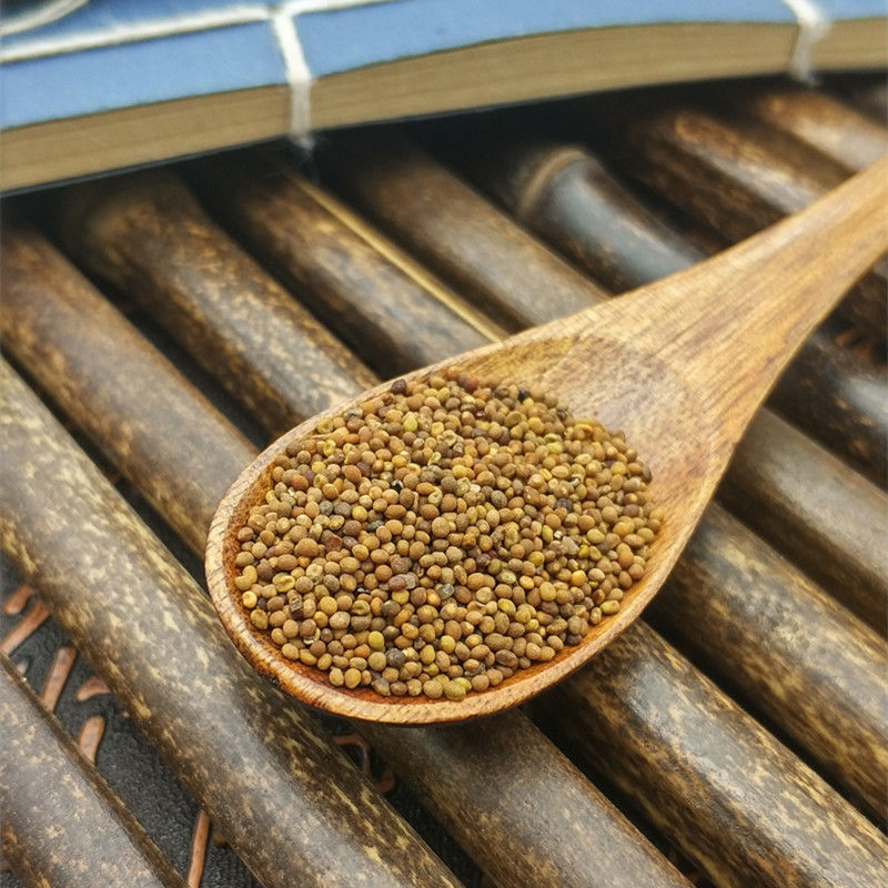 菟丝子兔丝子四川大菟丝子菟丝子茶新货500克包邮50g