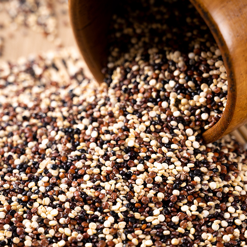 高端三色藜麦500g农家黎麦 厂家批发ome代工贴牌 高原三色藜麦米