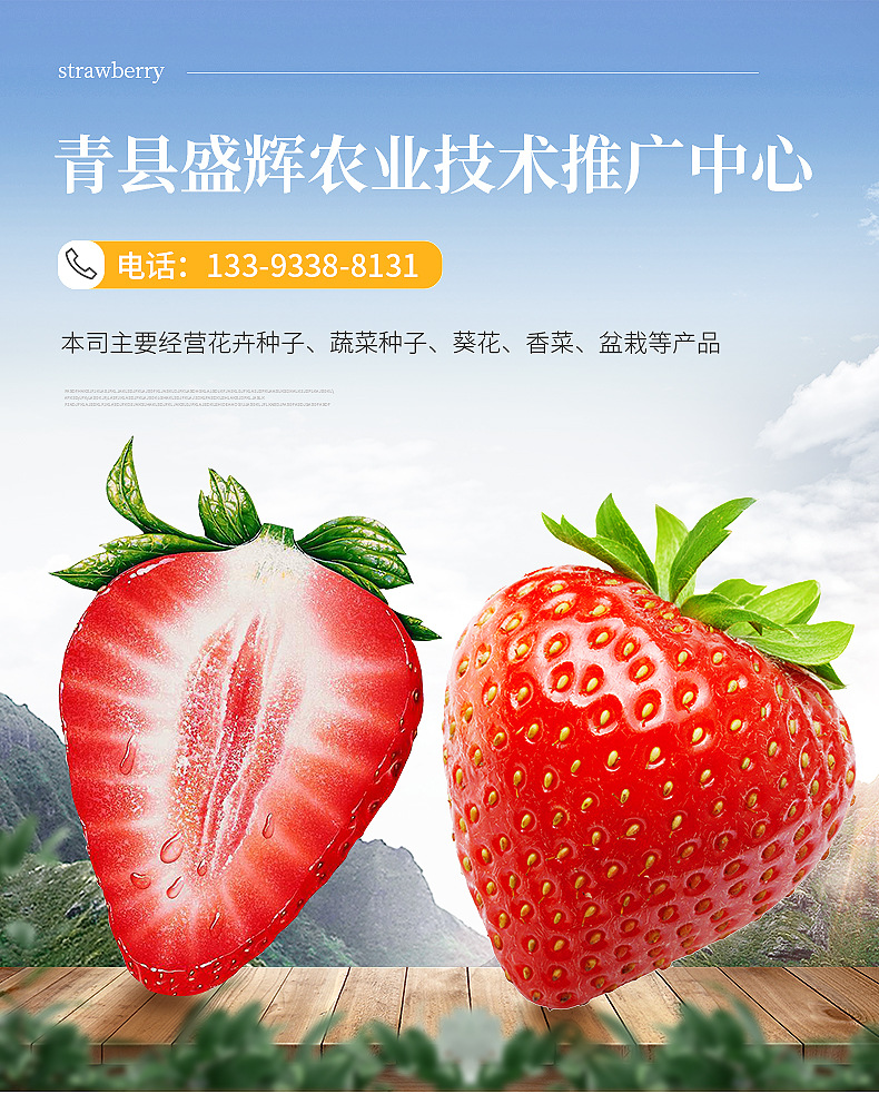 厂家供应 四季草莓种 草莓种子室内阳台盆栽蔬菜水果种子花卉种子