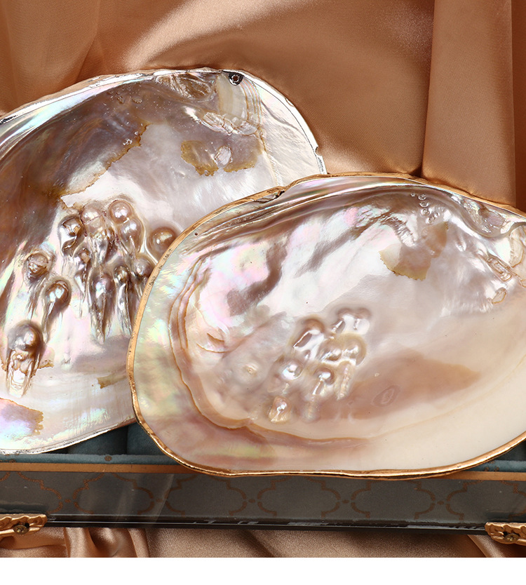 天然淡水珍珠河蚌贝壳鎏金摆件工艺品