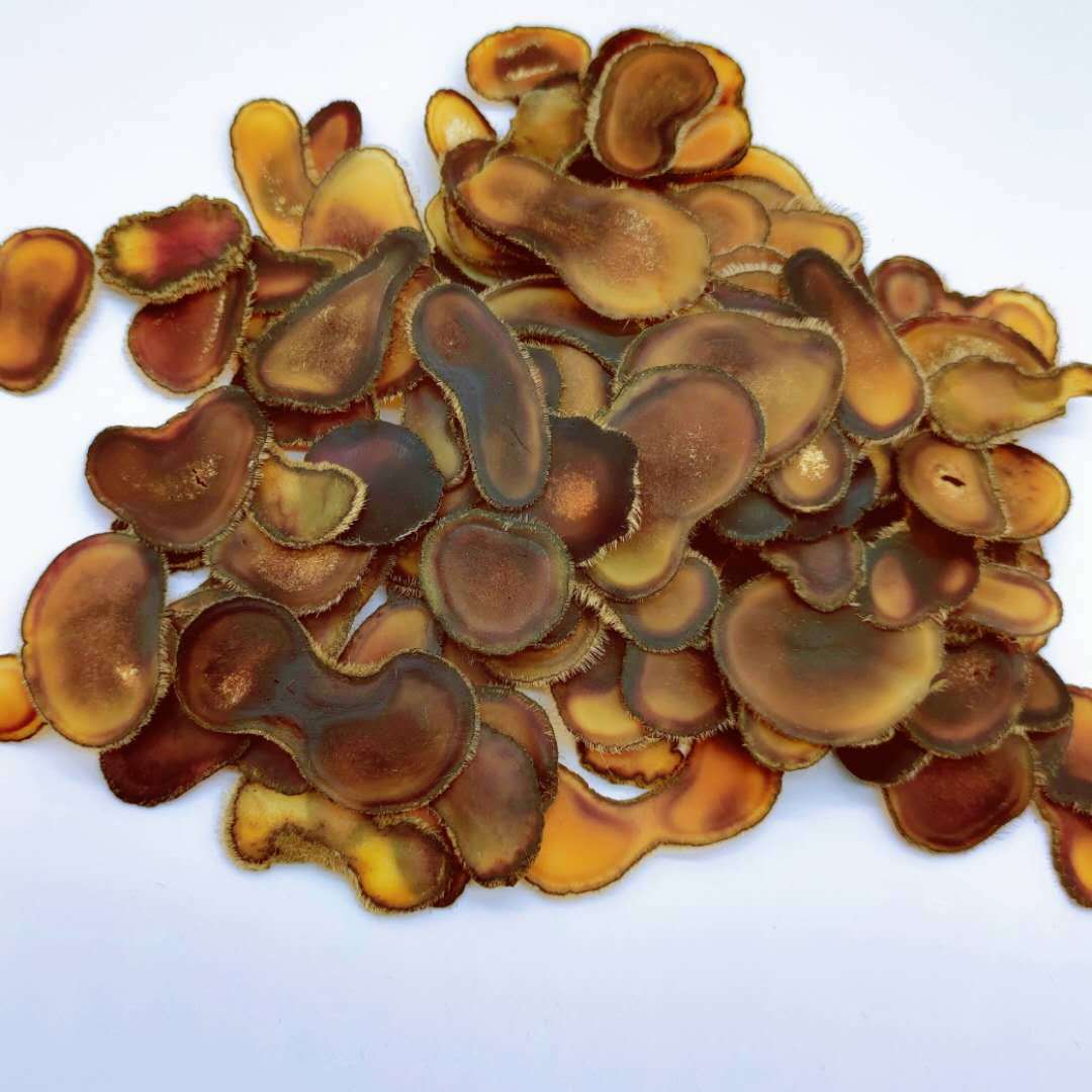 吉林双阳鹿乡鹿产品批发干鹿茸鹿茸切片泡水煲汤足干腊片鹿茸片