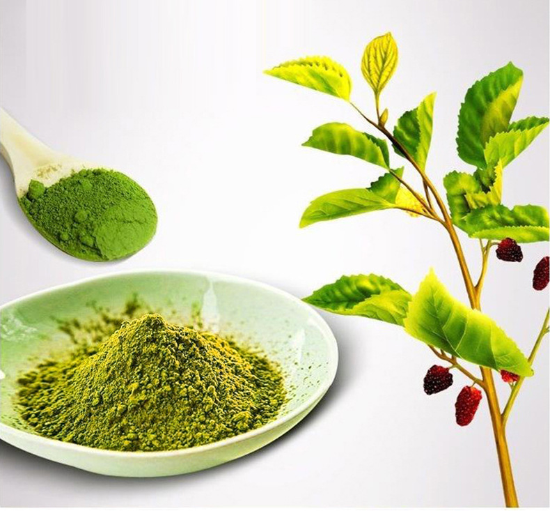 霜桑叶粉干桑叶粉泡水喝非止汗食用细粉批发散装oem加工定制