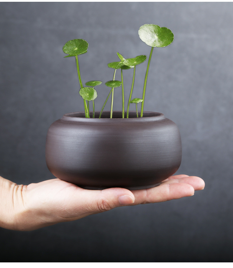 铜钱草紫砂小花盆花瓶陶瓷水培无孔绿植容器小清新桌面花器办公桌
