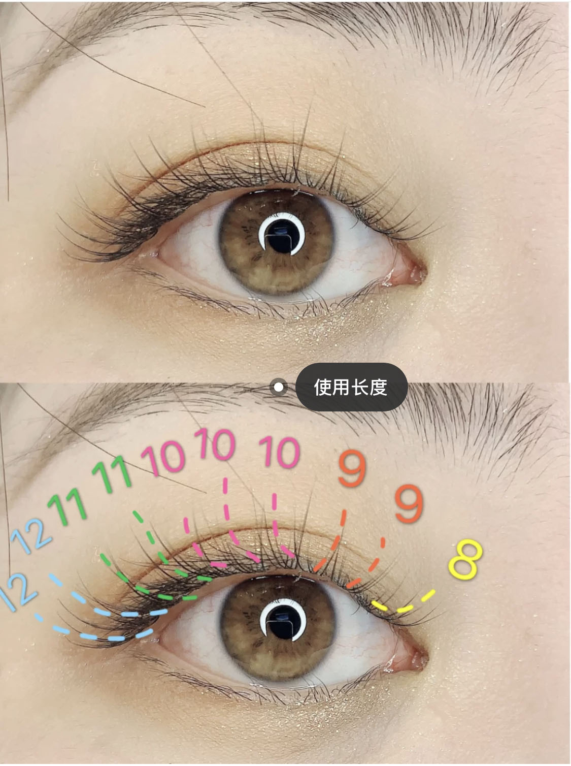 鱼尾型自嫁接朵毛热熔嫁接睫毛自然浓密种植睫毛新款鱼尾朵毛