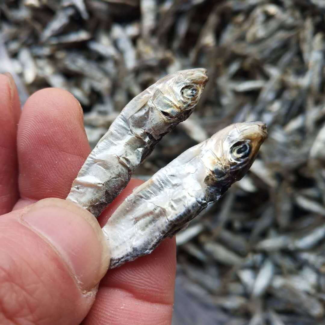 青皮青麟鱼500克柳叶鱼纯无盐淡水鱼宠物猫粮零食鱼干地摊鱼包邮