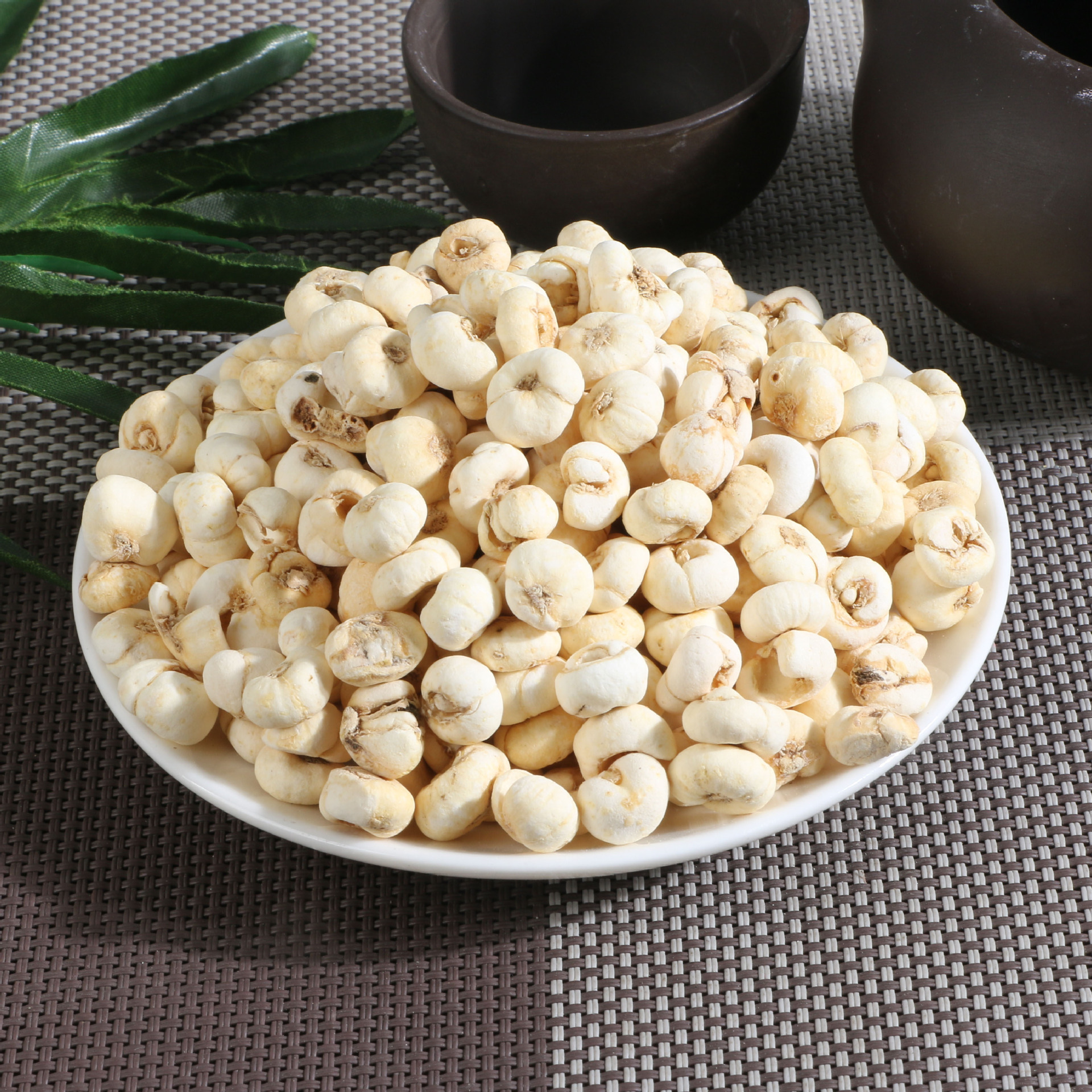 【川贝种】-川贝种厂家,品牌,图片,热帖-阿里巴巴