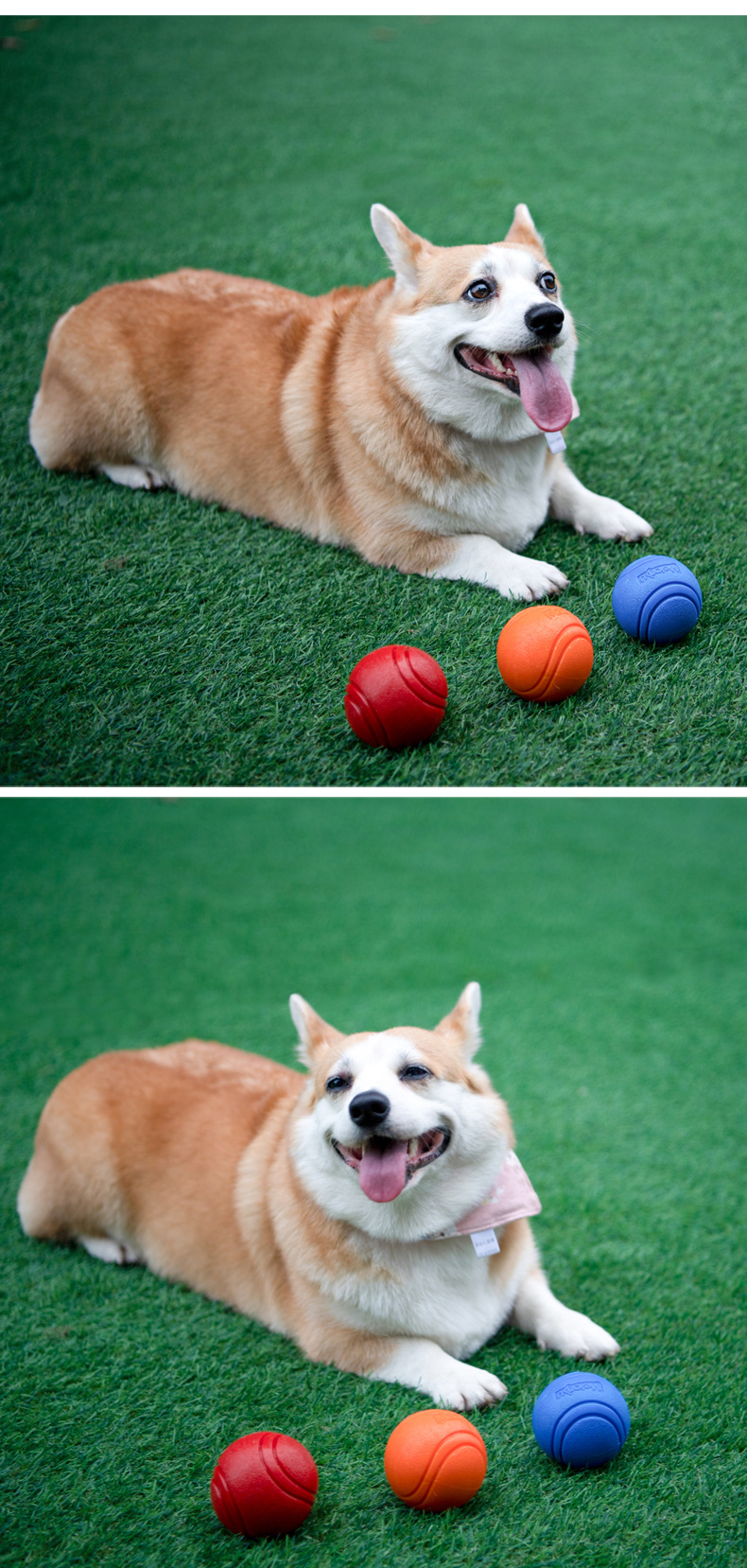 meianju宠物狗弹力球 耐咬实心球橡胶啃咬玩具球户外投掷寻回训练