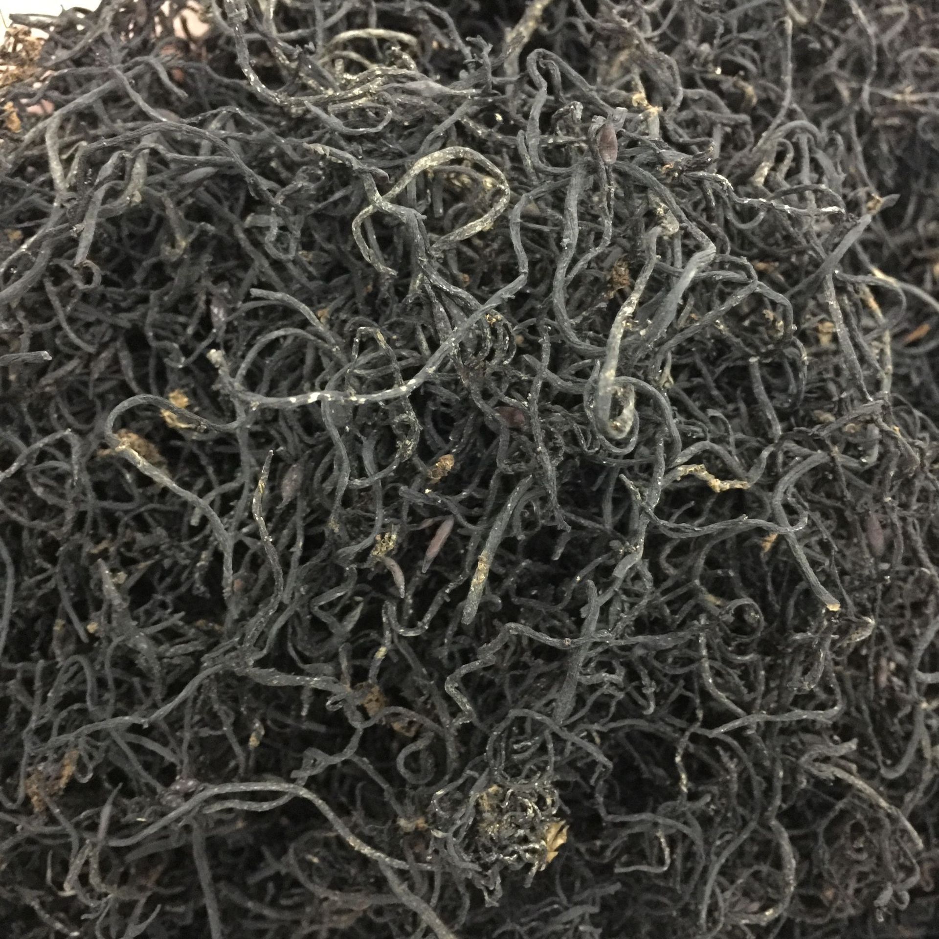 徽信远道地中药材不熏硫磺海藻选货